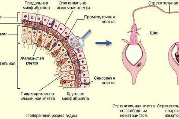 Кракен сайт 2krnk cc