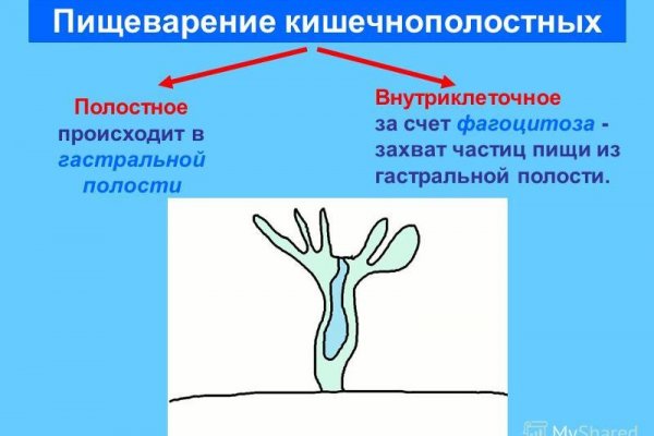 Как зайти на кракен дарк
