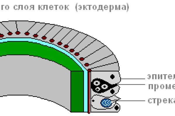 2krn сс что это такое