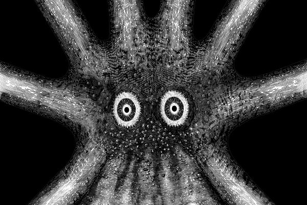 Кракен сайт 1kraken me